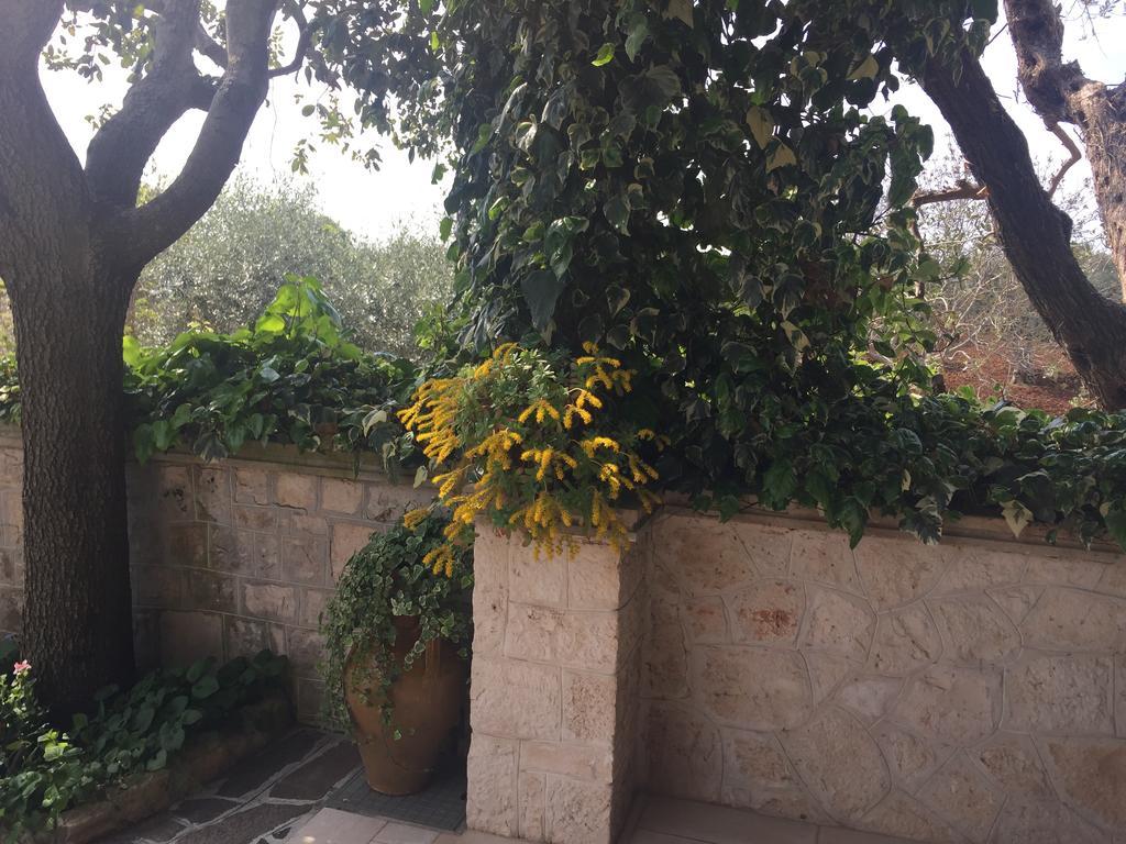 Il Trullo Di Nonno Angelo San Marco Hotell Locorotondo Eksteriør bilde