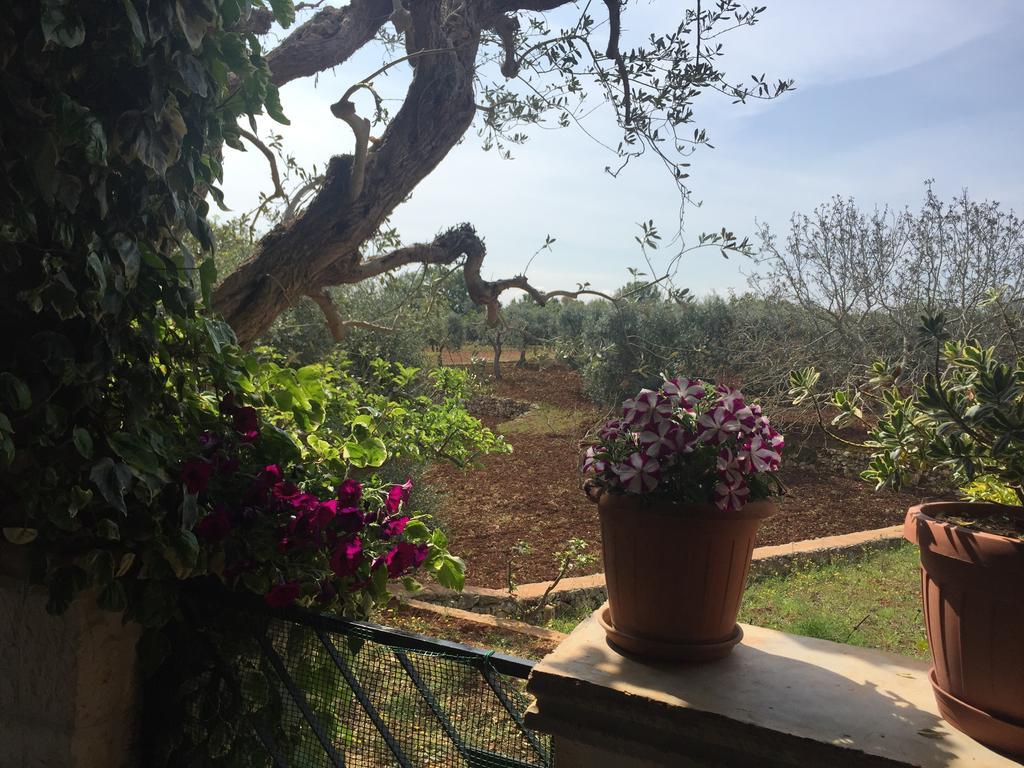 Il Trullo Di Nonno Angelo San Marco Hotell Locorotondo Eksteriør bilde