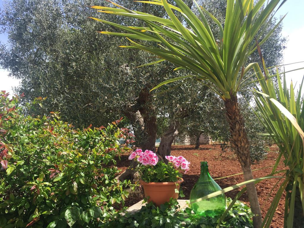 Il Trullo Di Nonno Angelo San Marco Hotell Locorotondo Eksteriør bilde