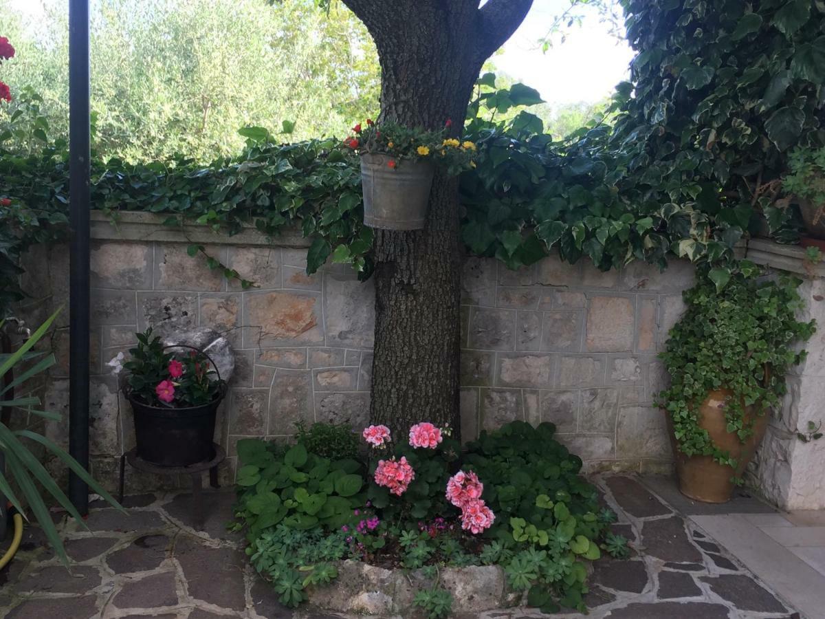 Il Trullo Di Nonno Angelo San Marco Hotell Locorotondo Eksteriør bilde