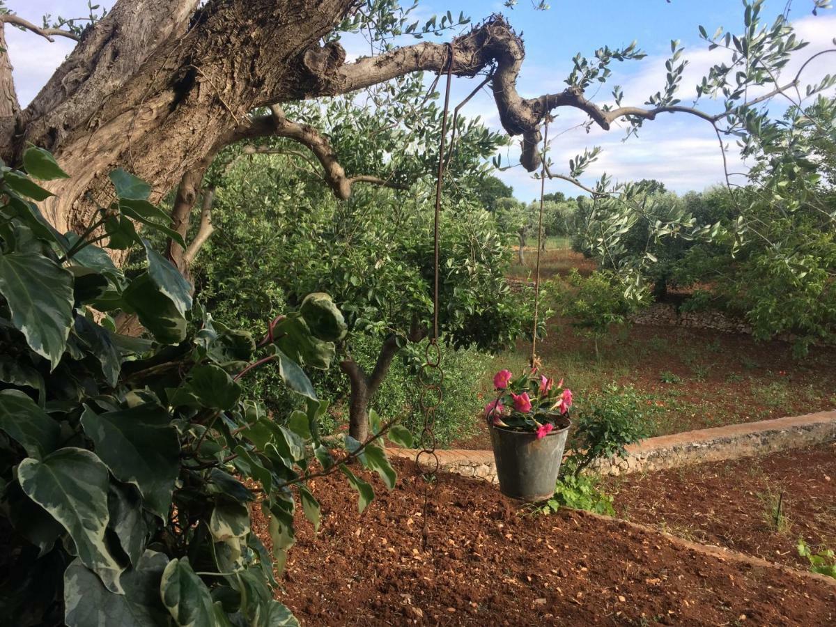 Il Trullo Di Nonno Angelo San Marco Hotell Locorotondo Eksteriør bilde